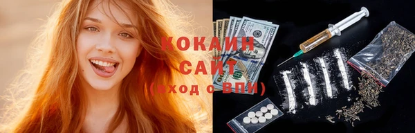 шишки Заволжск