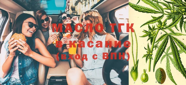 шишки Заволжск