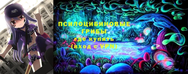 первитин Заводоуковск