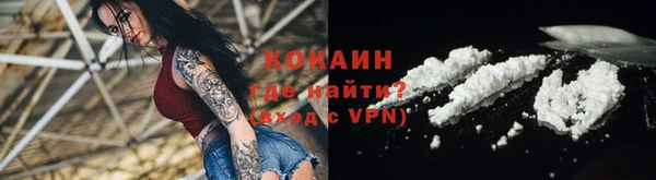 прущие грибы Карпинск