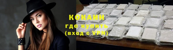 шишки Заволжск