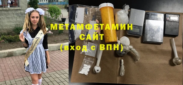 шишки Заволжск