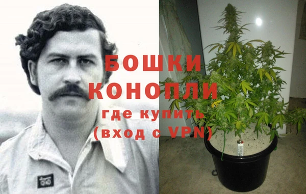 шишки Заволжск