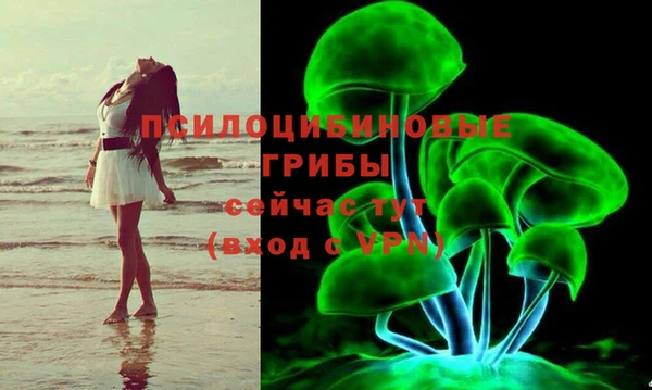 шишки Заволжск
