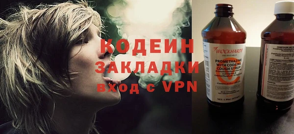 шишки Заволжск