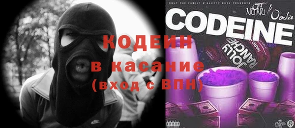 шишки Заволжск